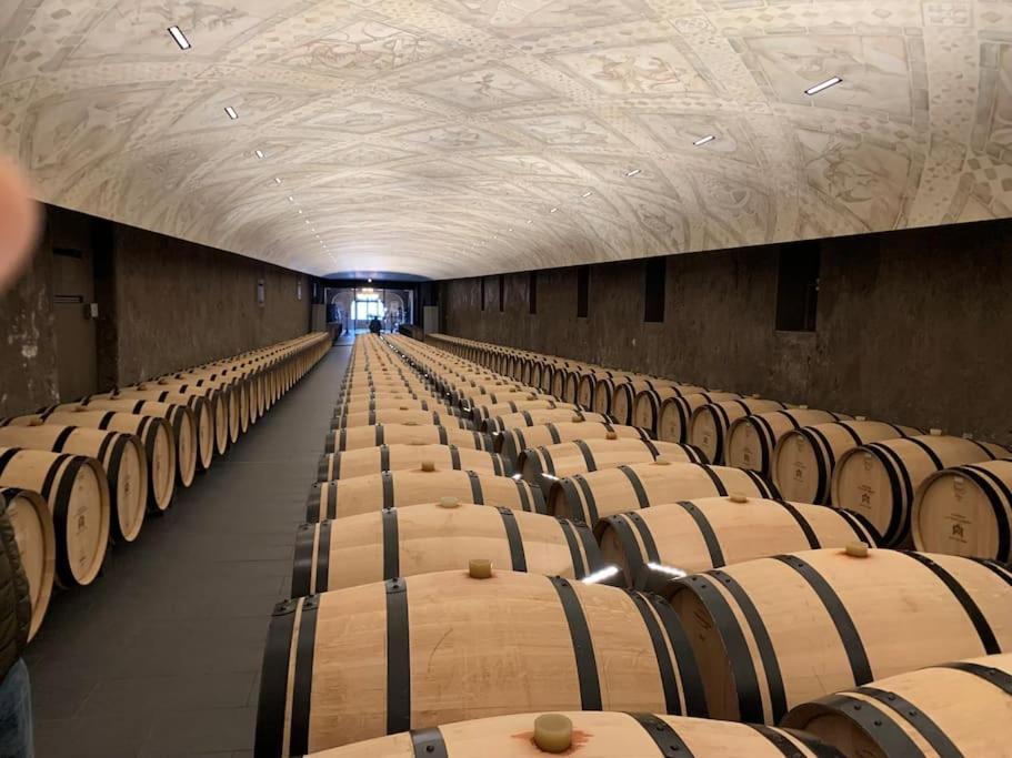 Studio Confortable Aux Portes De Bordeaux Et Medoc Ludon-Médoc Extérieur photo